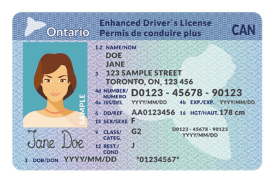 img-drivers-license img-drivers-license